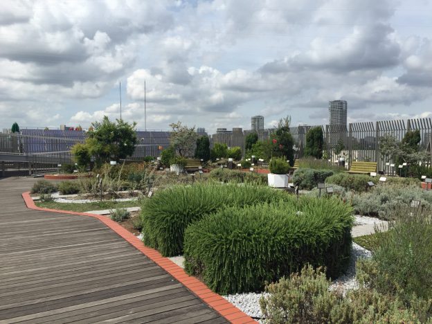 アカデミック臭漂う空中庭園!国立科学博物館屋上のハーブガーデン