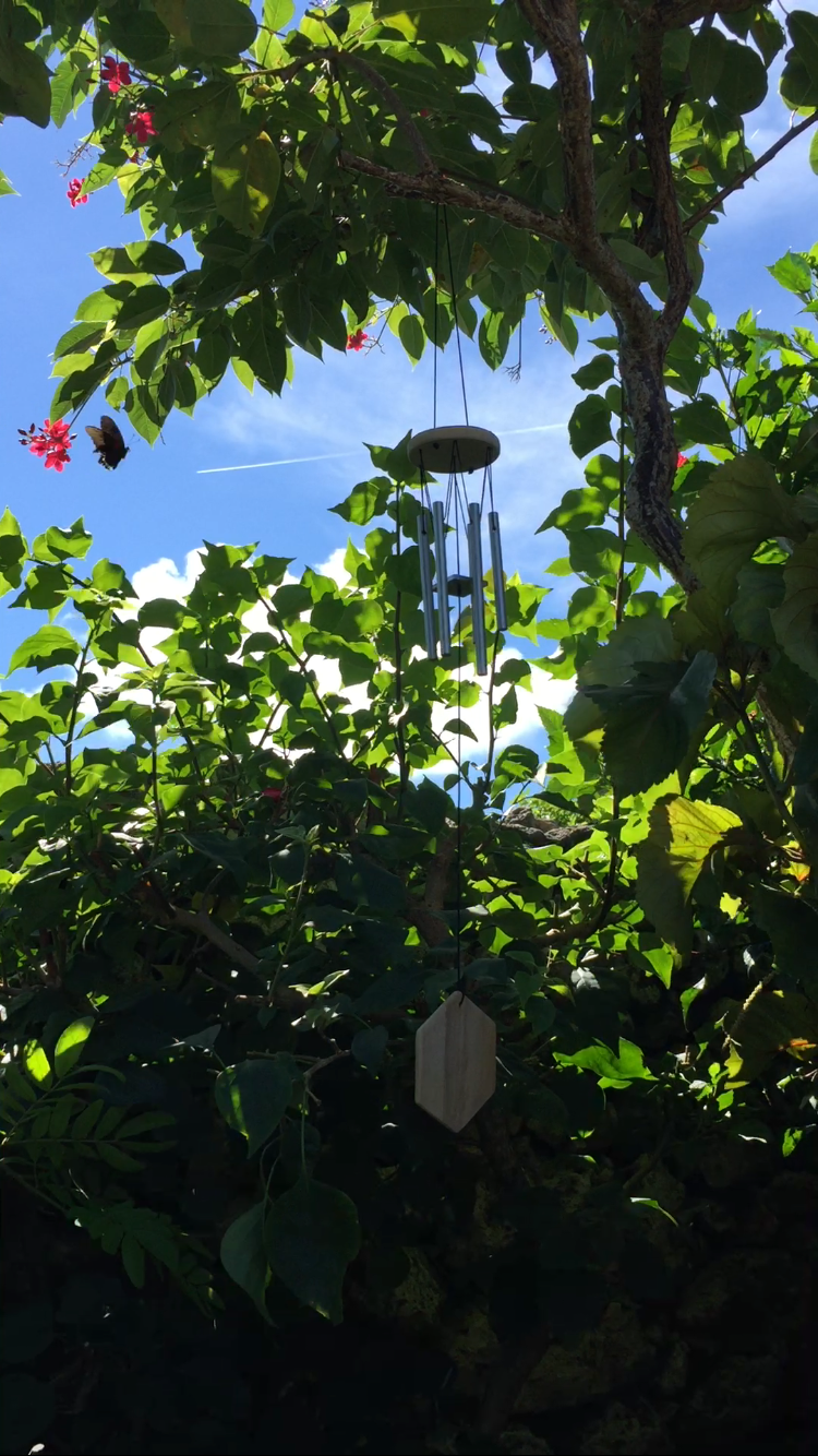 沖縄の竹富島の木に吊るしたウインドチャイムの写真