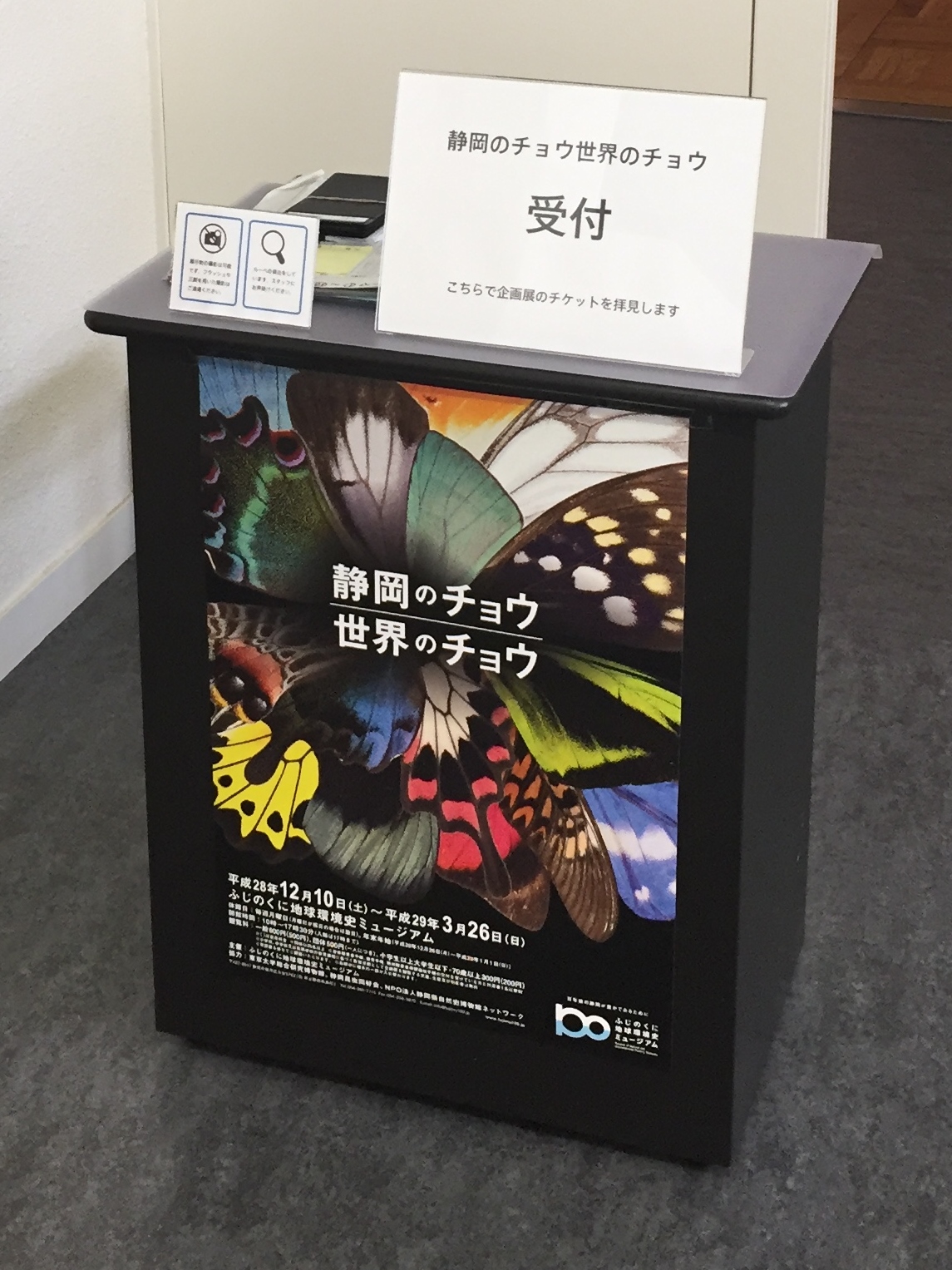 ふじのくに地球環境史ミュージアム 企画展「静岡のチョウ 世界のチョウ」の写真