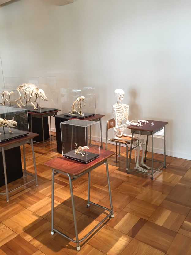 マジメかつシュール。「ふじのくに地球環境史ミュージアム」の常設展