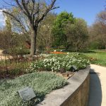 嗅覚と触覚で楽しむ。スイス・ジュネーブの植物園の「香りと感触の庭」