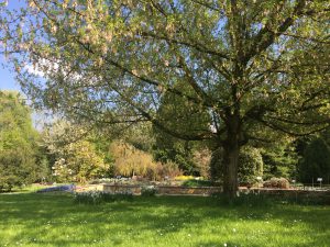 ジュネーブの植物園の香りと感触の庭の写真