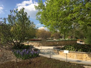 ジュネーブの植物園の香りと感触の庭の写真