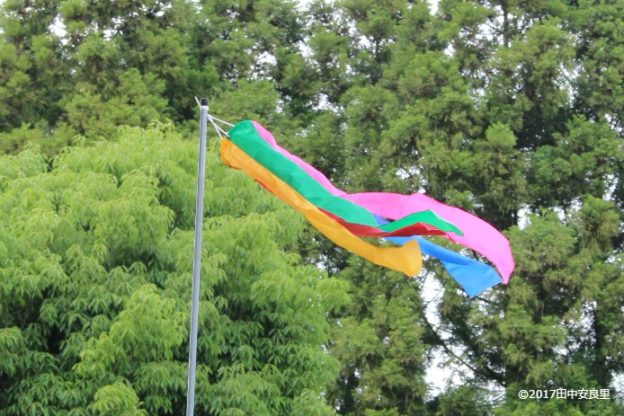 吹流しを設置。新緑の間を吹き抜ける初夏の風、薫風を楽しむ