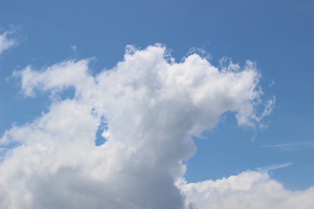 田中流ジブリクイズのやり方:日常会話にジブリのセリフを忍び込ませる!