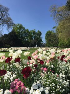 ペルル・デュ・ラック公園の真珠の庭（春）の写真