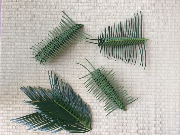 庭のソテツの葉で、沖縄で教わったソテツの虫かごを作る