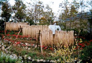 2004年浜名湖花博の水車小屋のある庭の写真