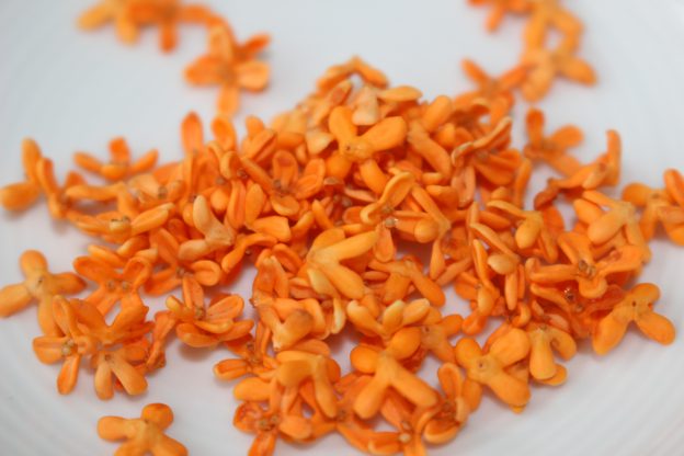 涼やかな甘さ!庭のキンモクセイの花でキンモクセイのお茶をいれる