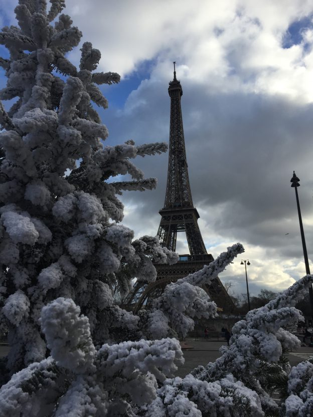 パリのシンプル シックなクリスマスツリー