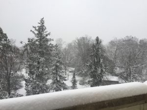 ジュネーブの雪の写真