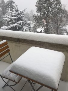 おいしそうに積もったジュネーブの雪の写真