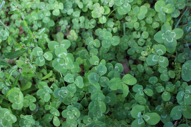 「見えないものたちの肖像」１－何気ない写真と意味を盛りすぎたタイトル