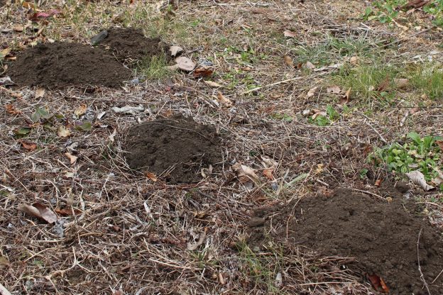 ミステリー円丘