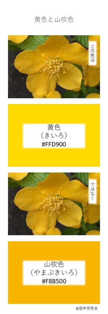 この色は 黄色(きいろ)#FFD900 ではなく 山吹色(やまぶきいろ)#F8B500