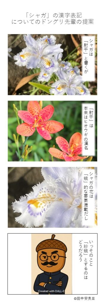 シャガは「射干」と書くが 「射干」は本来はヒオウギの漢名 シャガの花は「蛾」的な要素満載だし いっそのこと「紗蛾」とするのはどうだろう