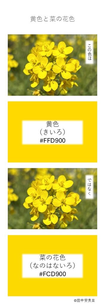 この色は 黄色（きいろ）#FFD900 ではなく 菜の花色（なのはないろ）＃FCD900