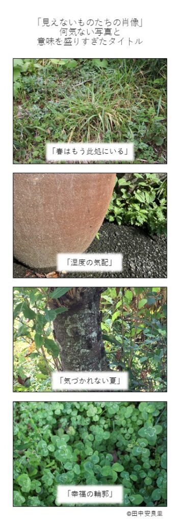 「春はもう此処にいる」 「湿度の気配」 「気づかれない夏」 「幸福の輪郭」
