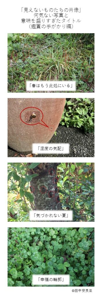 「春はもう此処にいる」 「湿度の気配」 「気づかれない夏」 「幸福の輪郭」