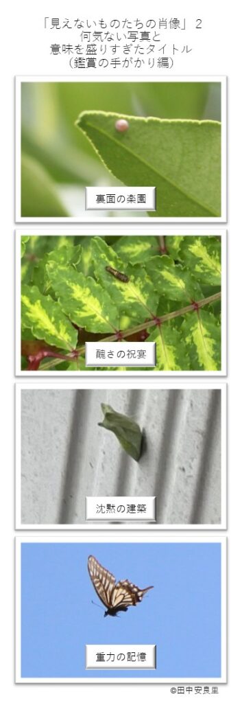 裏面の楽園 醜さの祝宴 沈黙の建築 重力の記憶