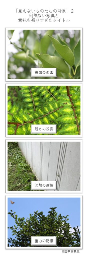 裏面の楽園 醜さの祝宴 沈黙の建築 重力の記憶